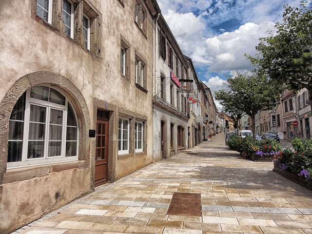 bourbon lancy terre de france